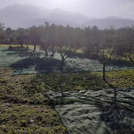 Elia With Pool, Yurt And Sea Views *