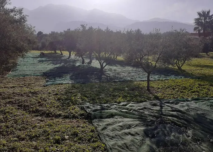 Elia With Pool, Yurt And Sea Views *